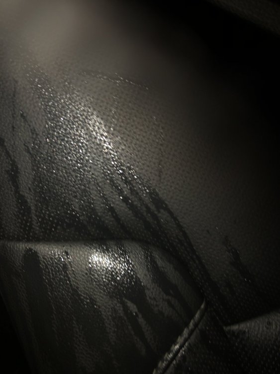 261A3B5A-EB65-4319-AEFA-95BC3BA9B7FD.jpeg
