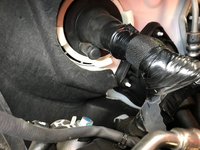 IMG_0590.jpg.be93a9b7a80ed5a2c6aa8ca4ed1a38ea.jpg