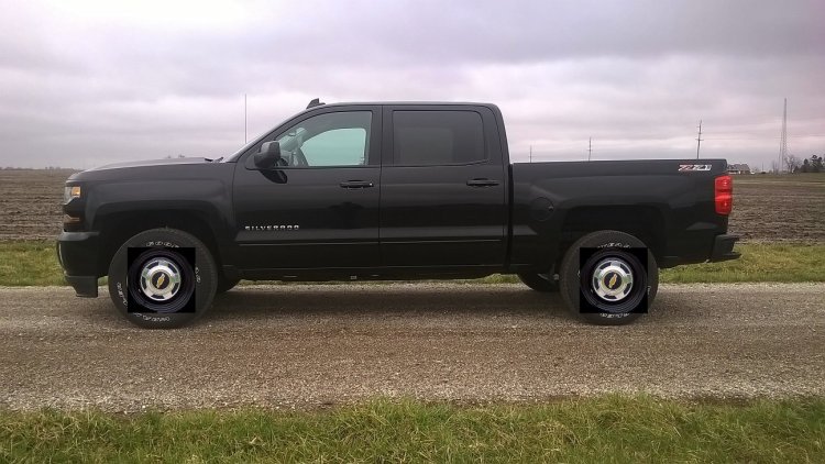 truck dog dish small.jpg