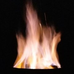 BBQDood