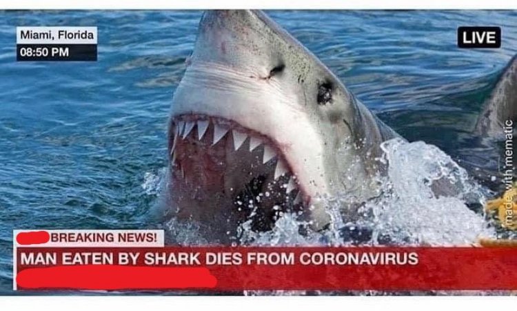 Man Shark Coronavirus.bmp.jpeg