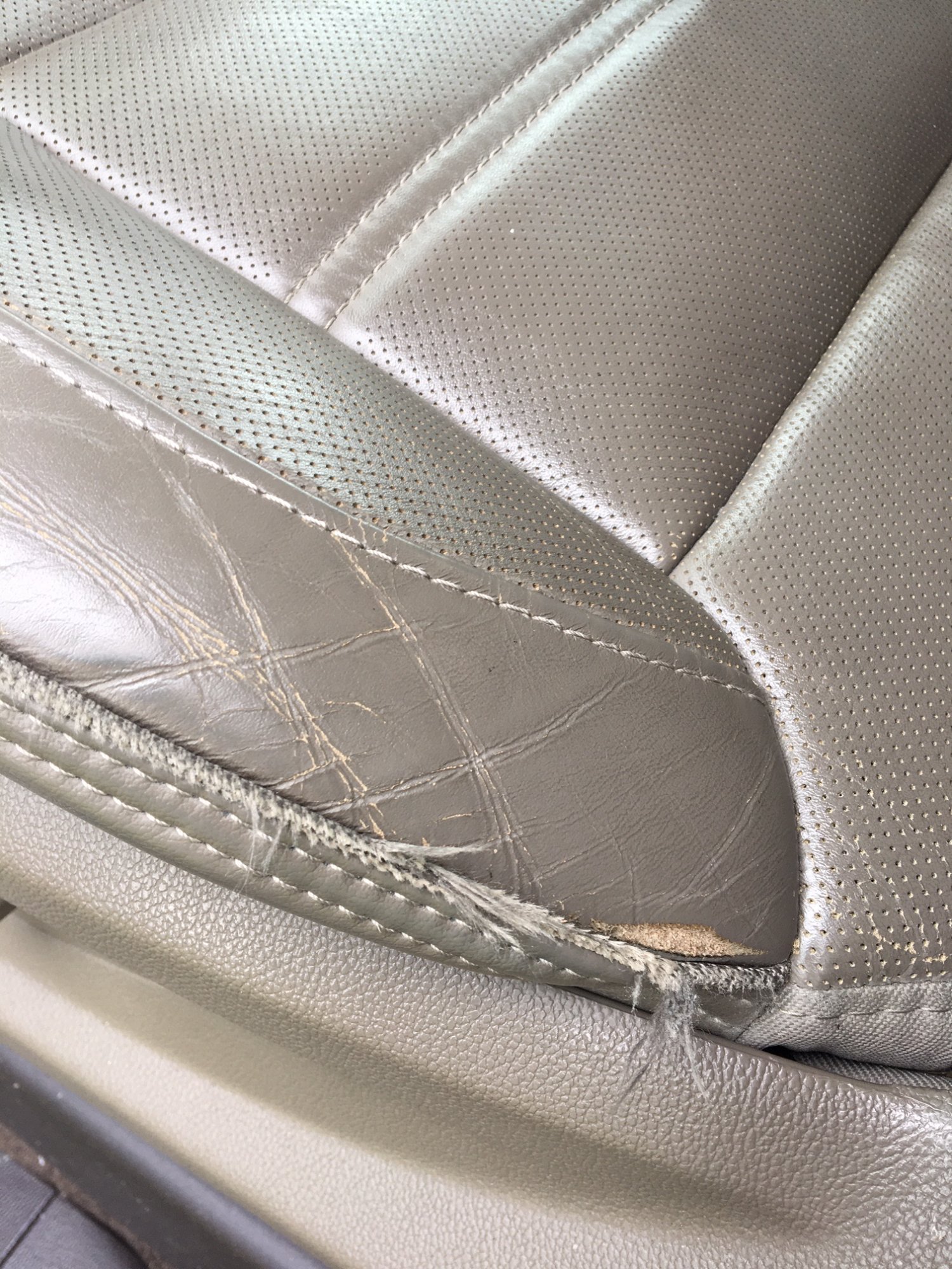Leather seatrip repair? - 2014-2018 Silverado & Sierra Mods 