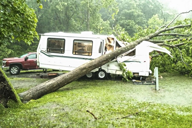 RV_vs_Tree_4x6.jpg