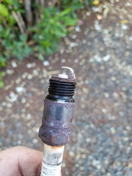 sparkPlug.jpg