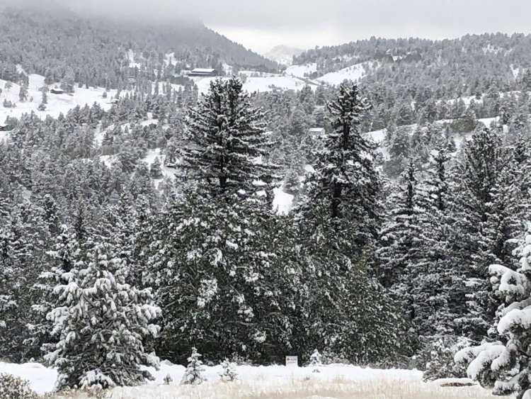 Sept9snow.jpg