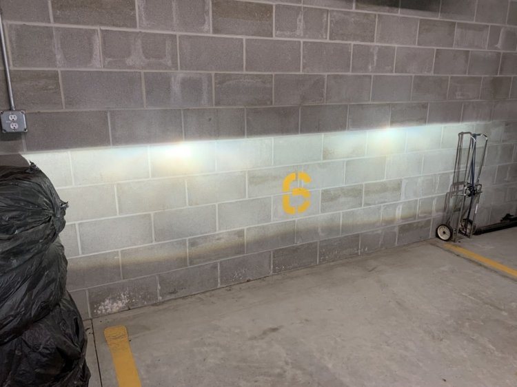 1875BCED-7F87-457A-84CD-70A2A0E3E558.thumb.jpeg.bc52e7c07b4987678a6373e4113c6ff7.jpeg