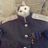 Comarade Lee