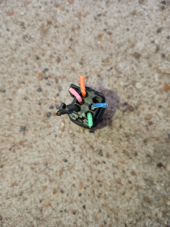 20201114_161205.jpg