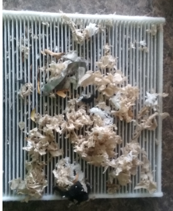 image.png.be5ab7f2cffccff7ed3824d9860d77b6.png