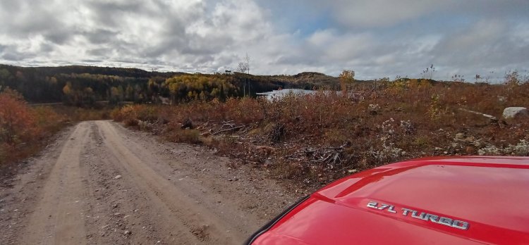 20201005_112115_HDR[1].jpg