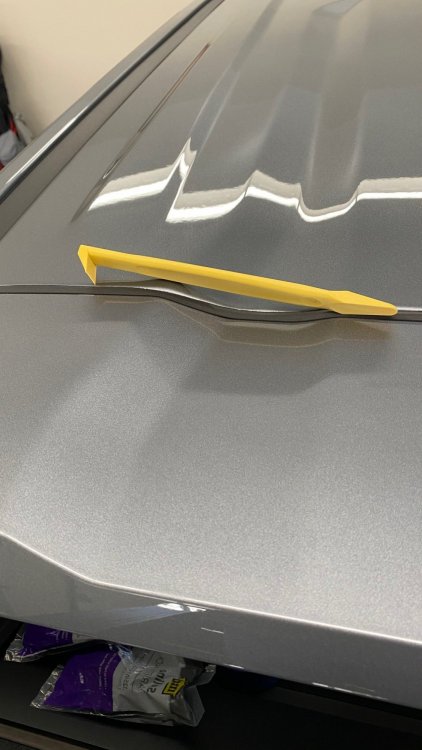 trim.1.jpg