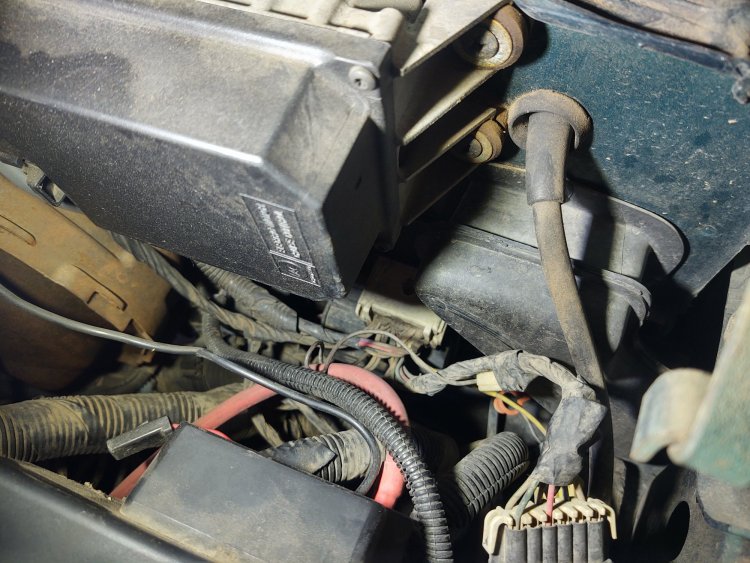 front wiring harness.jpg
