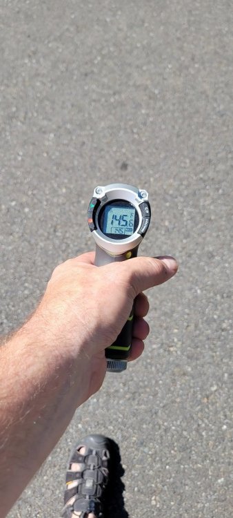 20210627_160131.thumb.jpg.62c0ba509cb43888d445e598c4cc01e6.jpg