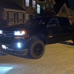 Z71will