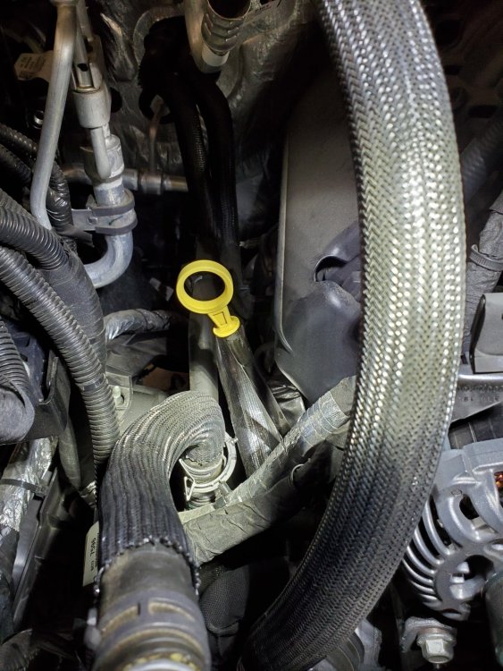 Hose Clip.jpg