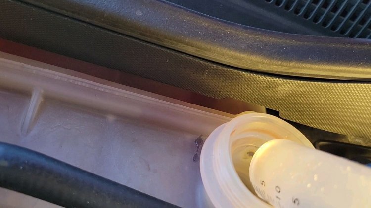 Fluid flowing into tube.jpg