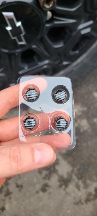 vlv stem.jpg