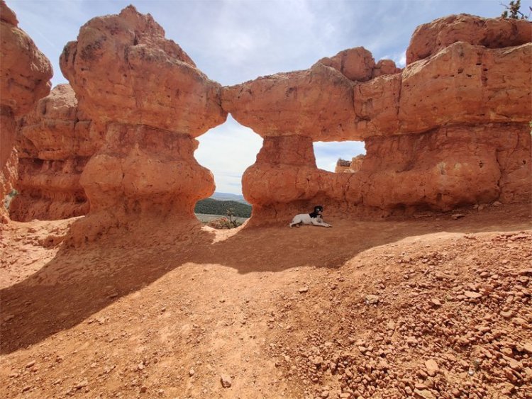 Red-Canyon-Mini-Hoodoos.jpg