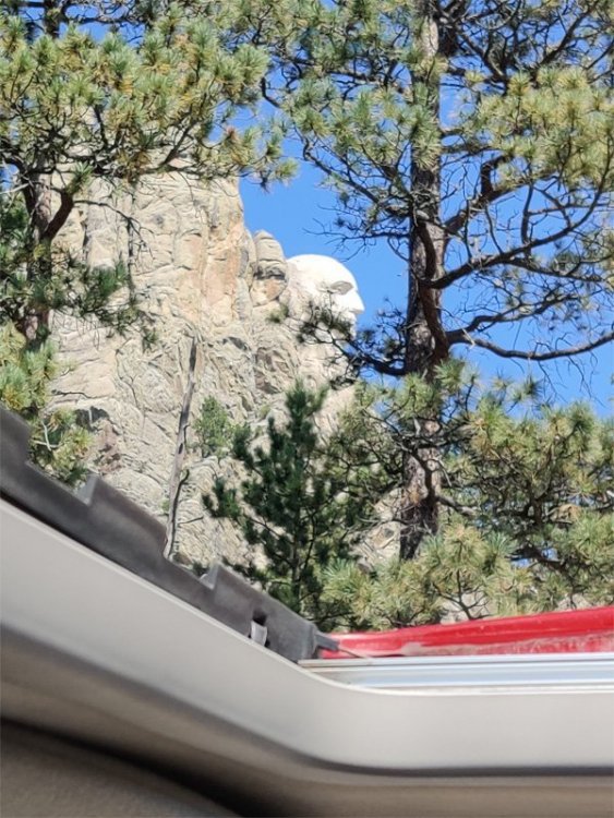 Washington-through-Sunroof.jpg