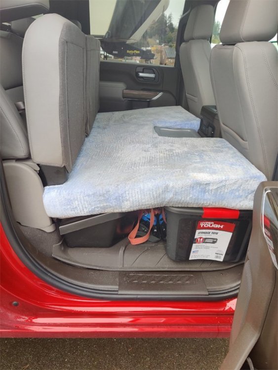 Rear-Cushion.jpg