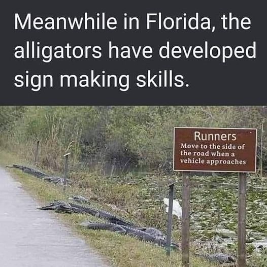 20230419_171719.jpg.ac01db73cf2cbe8e9b4345c71e156d96.jpg