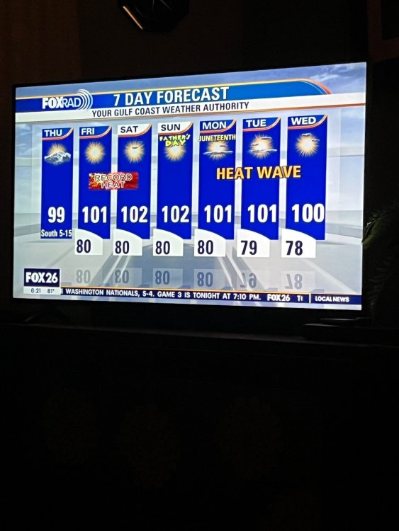 IMG_0545.jpeg