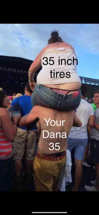 20240328_100317.thumb.jpg.b12f33efb1644dbaa0b4513b4465495c.jpg