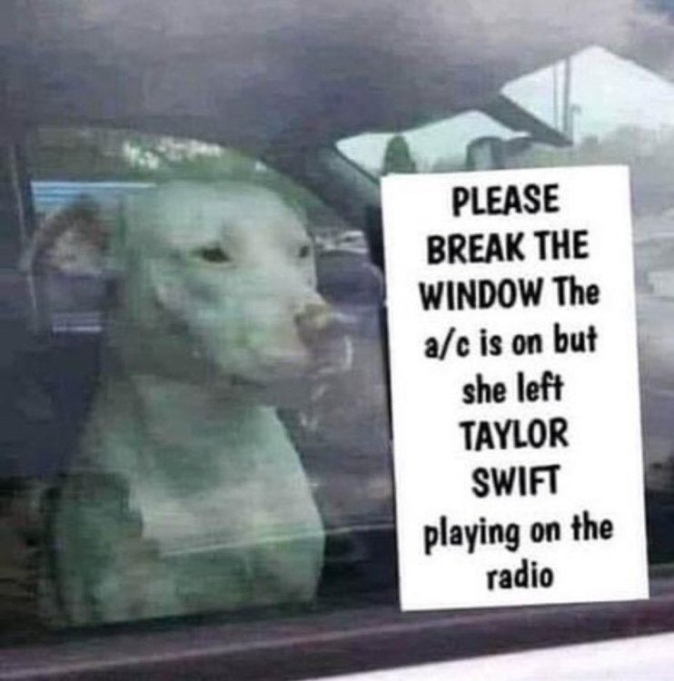 GQUy42YWYAAN_OU.jpg