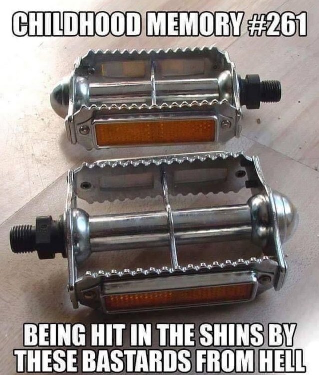 20240804_132808.jpg