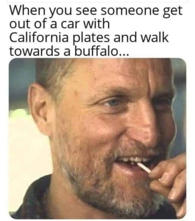 20240804_233700.thumb.jpg.747cc52a56e356032f499e79086bd6f5.jpg