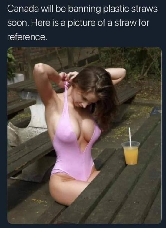 20240808_142558.thumb.jpg.ed59eeec74da3a1f24392cc1dd0b9b36.jpg