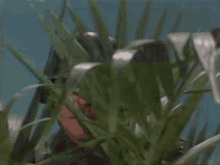very-interesting-arte-johnson.gif.7c37d3da76b6ef2202321c8c661a49b1.gif