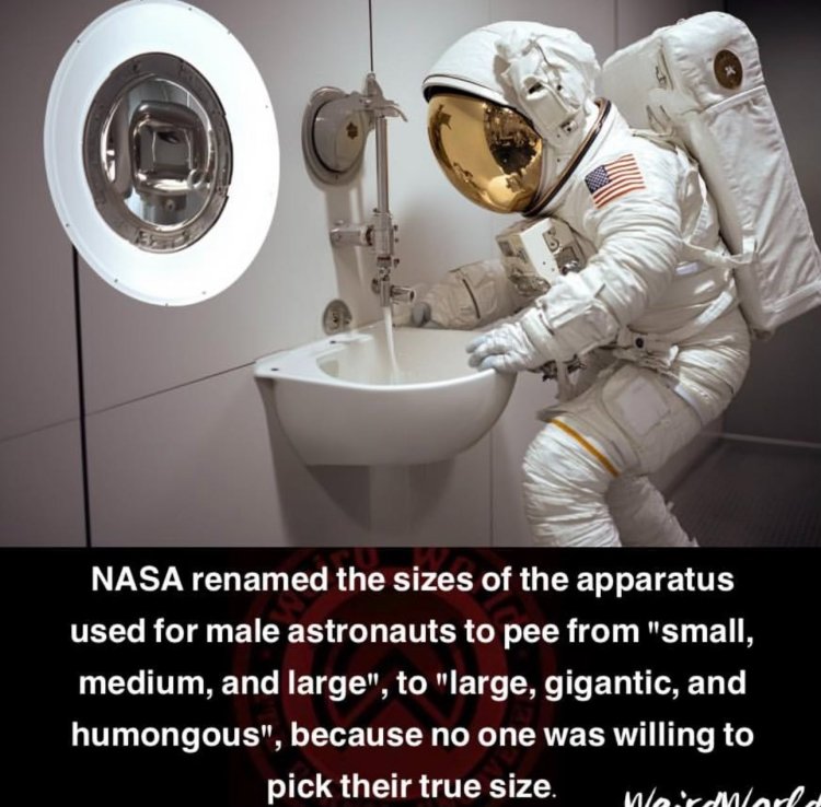 20241026_175559.jpg