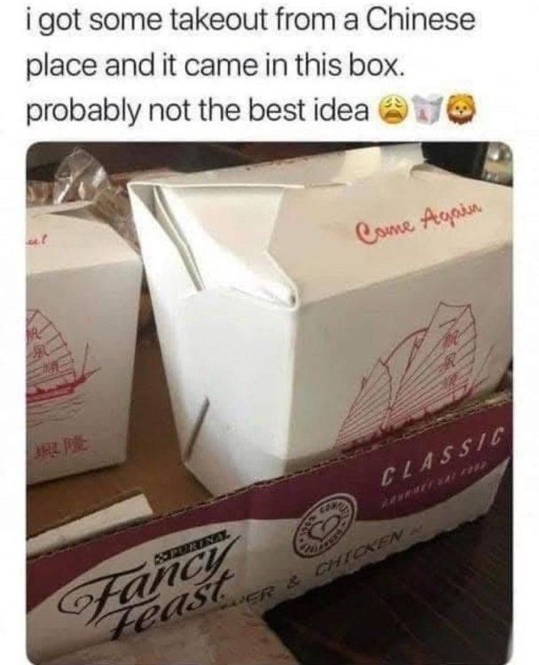20241130_181506.jpg