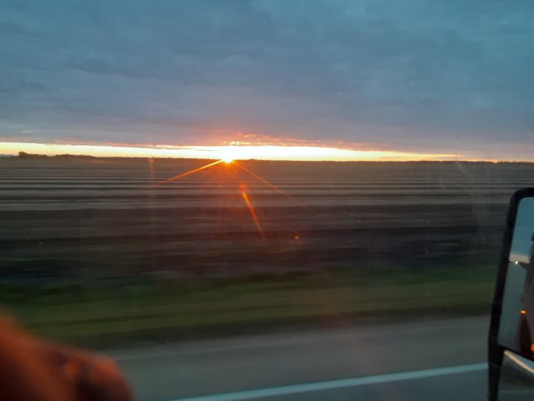 20231009_073922.jpg