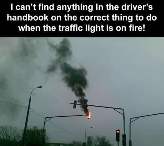 image.jpeg.81bd4d413206c3f1dd6bf5dd088b7d37.jpeg