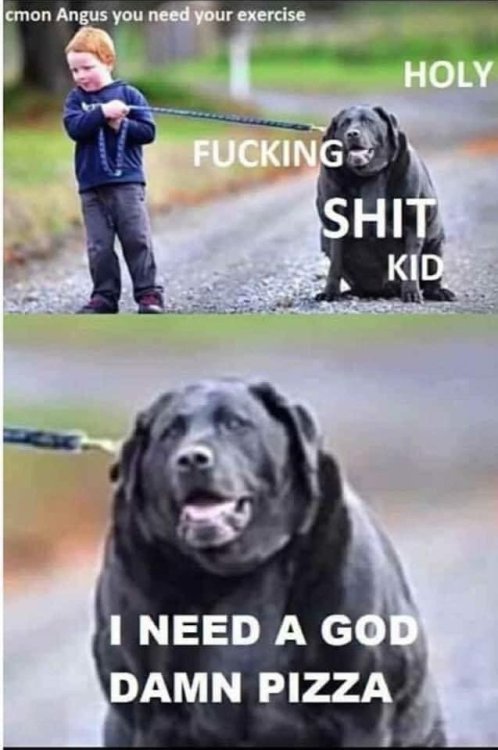 image.thumb.jpeg.6b28389a8a2ec1c8f05985ec0f475698.jpeg