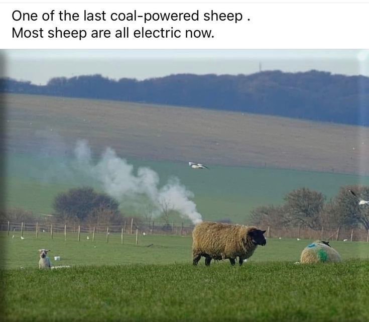 image.jpeg.92ff7a0f4893e232eae0653cffe0d405.jpeg