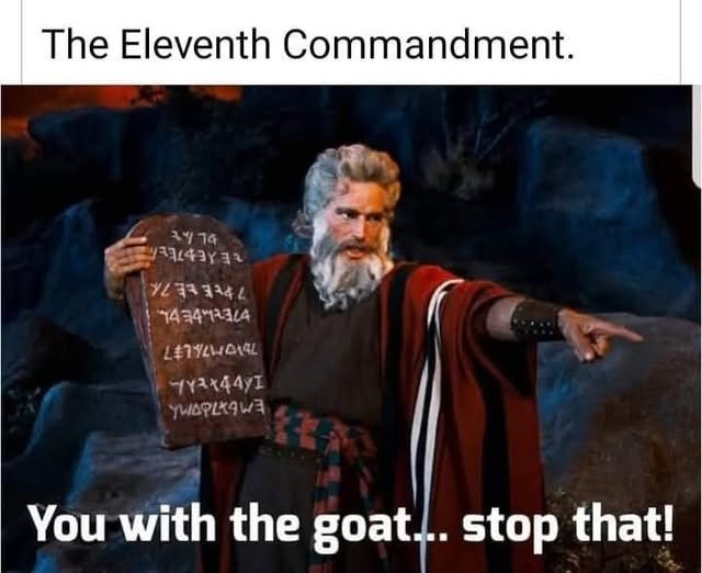 image.jpeg.4bbb7a17dba50068fd9bd49b2ae10241.jpeg
