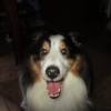 WaldoBear