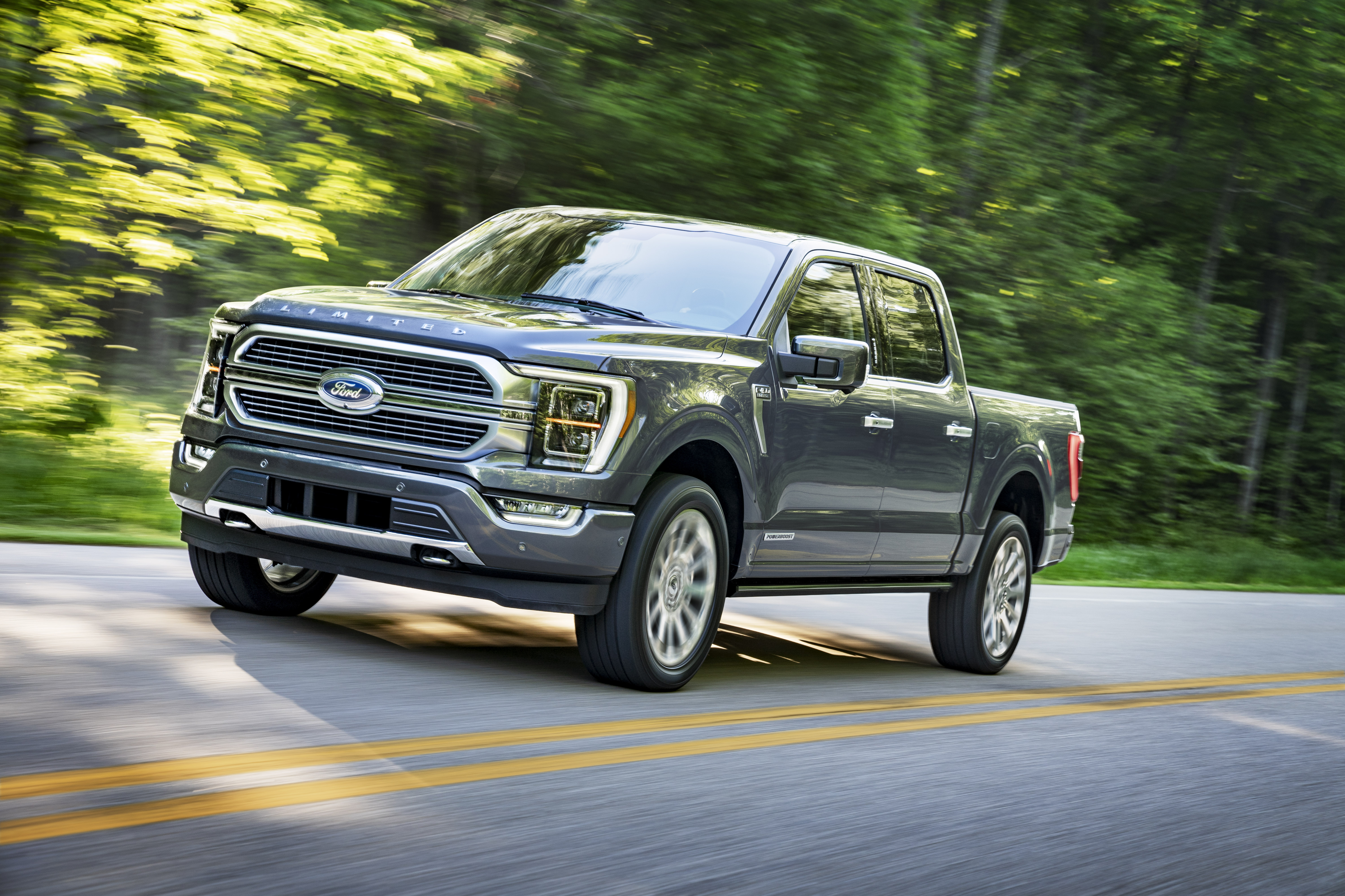 All new F 150 011