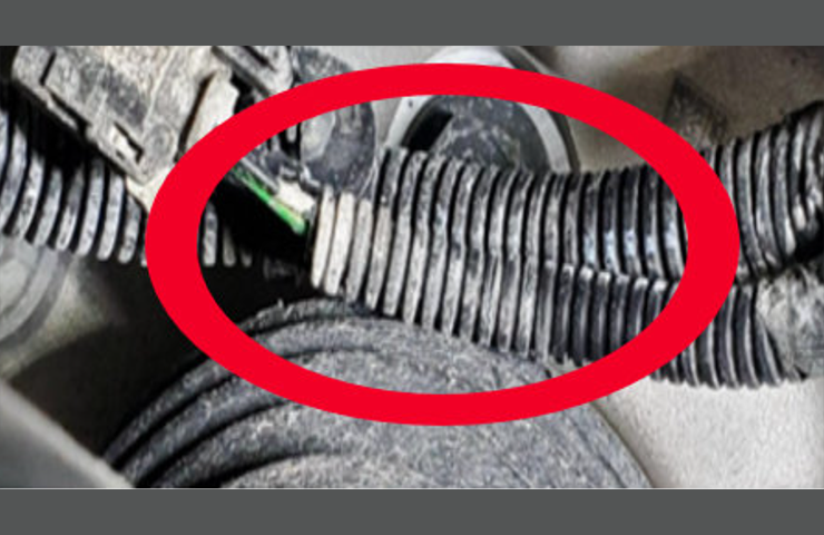 The Tiny Sensor Causing Big Problems on 2021-2025 GM Full-Size SUVs 2 Close-up underneath a vehicle showing a corrugated plastic wiring harness rubbing directly against a ribbed rubber half shaft boot, highlighted by a large red circle.