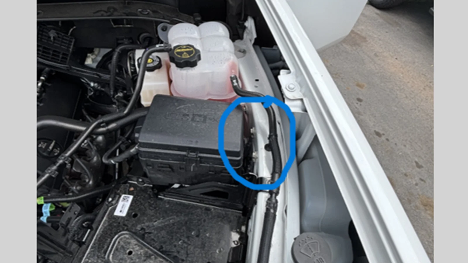 GM Says Bad Grounds Are Behind HD Warning Light Chaos 2 Under hood of a Silverado HD truck with a blue circle marking the location of grounds G103A and G103B next to the coolant reservoir and fuse block